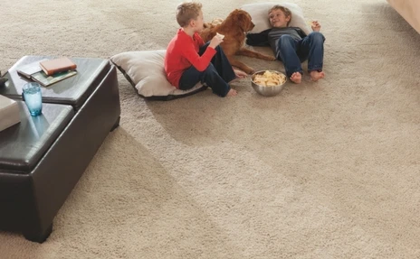 kids sitting on carpeted floor with dog 